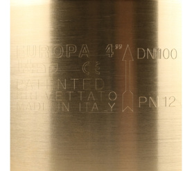 Клапан обратный пружинный муфтовый с металлическим седлом EUROPA 100 4 Itap в Орле 7