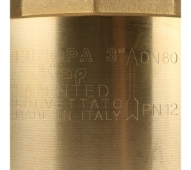 Клапан обратный пружинный муфтовый с металлическим седлом EUROPA 100 3 Itap в Орле 7