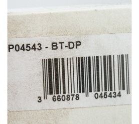Термостат BTDP Watts 10025807(90.18.475) в Орле 6