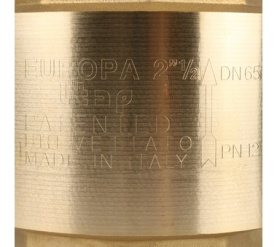 Клапан обратный пружинный муфтовый с металлическим седлом EUROPA 100 2 1/2 Itap в Орле 7